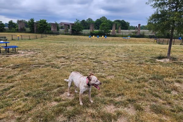 Princeton Community Dog Park photo 2